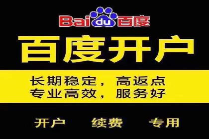 百度运营推广实战技巧，看这些成功案例